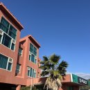 오피스제주 | 11월 제주 여행 워케이션 서귀포 숙소 오피스제주 사계점 후기