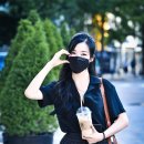 티파니펫 이미지