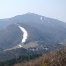 신기교 - 1640 | 신기교