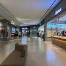 도그필드 이미지