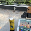 라벤데리아 이미지