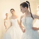 롤링제이 이미지