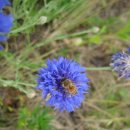 자전거도로 옆 이미지