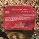 방어진산성(시리성) 이미지