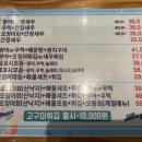 오징어 세상 이미지