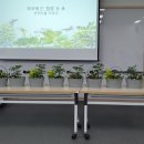 힐링포휴