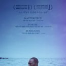 문라이트 이미지