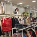 여성크로커다일 (홍성점) 이미지