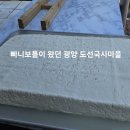 빠니보틀이 왔던 광양 도선국사마을에서 두부만들기 체험했어요!