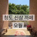 청도브런치카페추천- 우연히 발견한 청도카페오월 청도신상까페 내돈내산 솔직후기
