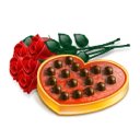 하늘애견 이미지