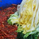 도식농장 이미지