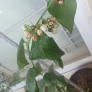 복이네 농장 이미지