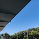 씨월드 피시 이미지