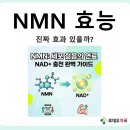 수원역365약국