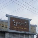 대정월마트