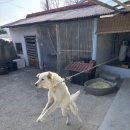 월오포레스트 이미지