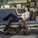 에스농장 이미지