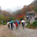 YJ펜션(고운산장) 이미지
