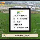 루시공인중개사사무소 이미지