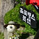 강촌펜션 이미지