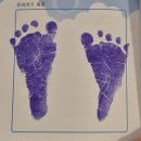 하이세탁 | 하이베이비키즈양말 신생아사이즈부터사용한 후기 종류 사이즈비교 착샷 세탁법