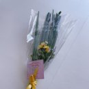 키드랜드어린이집 이미지