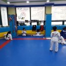 한국체대 호림태권도장 이미지