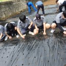 흥성농장 이미지