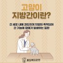 형곡동물병원 이미지