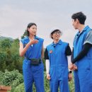 케미코리아 이미지