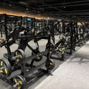 마블피트니스 이미지