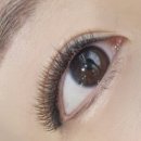 데일리아이래쉬 이미지