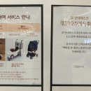 롯데몰 앞 횡단보도2 이미지