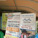 4월 안면도 볼거리 꽃박람회 튤립축제 그리고 인근 맛집 이미지