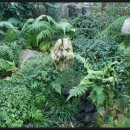 꽃마을로 이미지