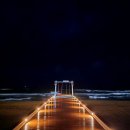 오토오아시스 태안점 | 두번째 《망상오토캠핑리조트》 14번 사이트 명당자리 망상자동차캠핑장 | 망상오토캠핑장 | 강원도...