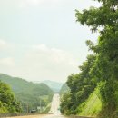 꽃피는 무릉도원 이미지