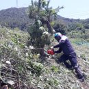 대행농장 이미지