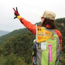 문필봉민박 이미지