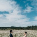 르네보리(RENEBORIE) 헤어살롱 | 제주스냅