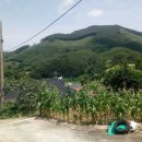 우각농장 이미지