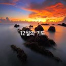 12월의 기도 시(詩)모음 / 김사랑, 이해인, 목필균, 도지현 이미지