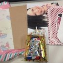 멍멍&DOG 이미지