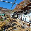 복안농장 이미지