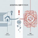 바나나공인중개사사무소 이데일리