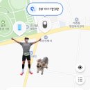 삼성전자로~삼성2로 96번길 | 삼성전자 갤럭시 스마트태그2 마라톤 위치추적 후기