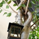 카페브런치(오후) 이미지