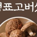 웅이 농장 네이버블로그