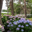 카사비앙카 이미지